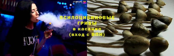гидропоника Новокубанск