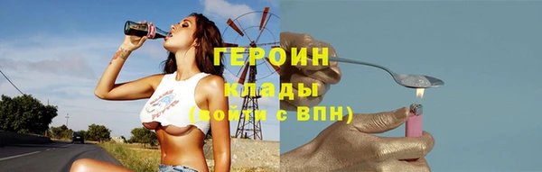 индика Весьегонск