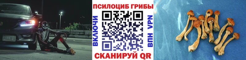 Псилоцибиновые грибы Cubensis  Суоярви 